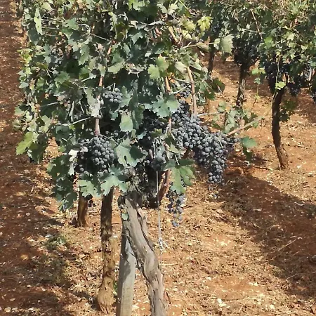 Grotta Di Figazzano Farm stay