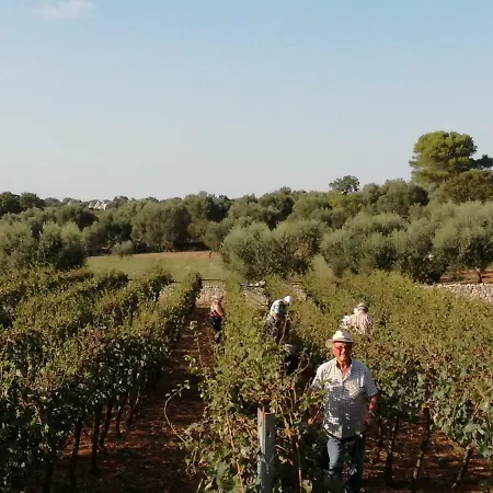 Grotta Di Figazzano Farm stay