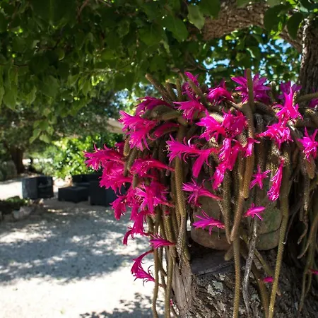 Alloggio per agriturismo Grotta Di Figazzano *